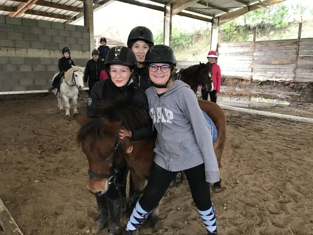 Equi 1