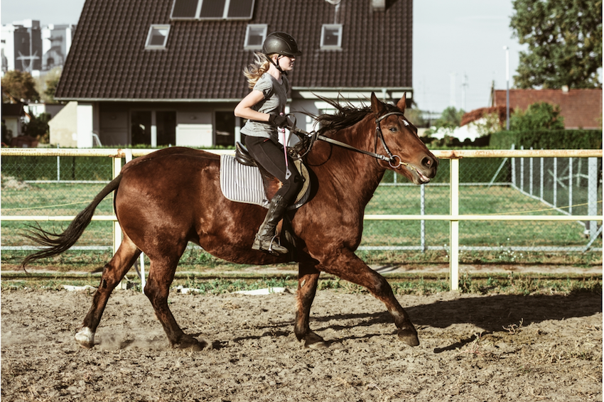 Equitation plaisir
