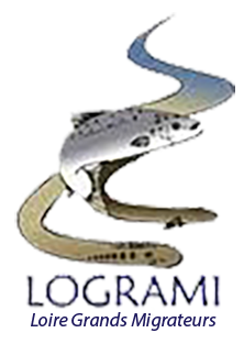 logrami