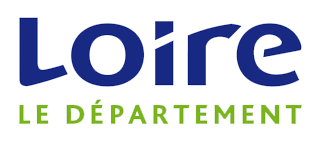 Conseil Departemental 42