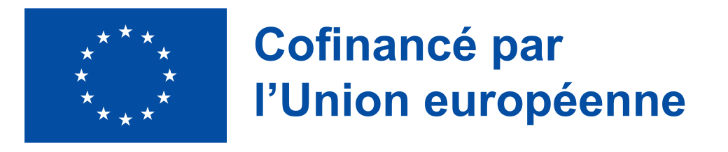 FR Cofinancé par lUnion européenne PANTONE